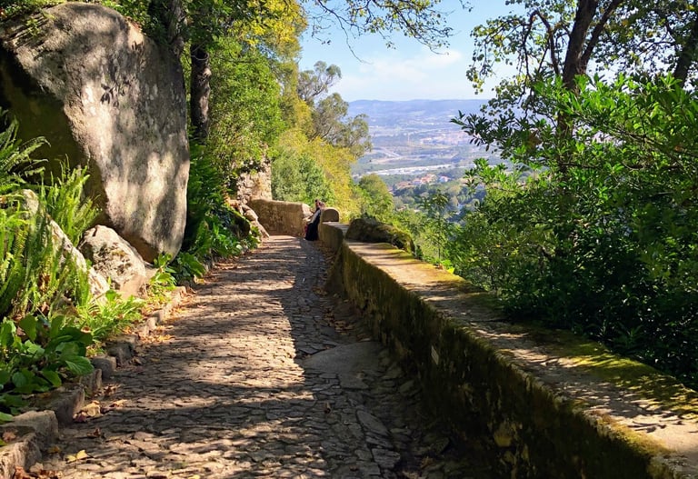 NA coach a mis une photo d'un chemin pavé avec une vue sur l'horizon qui permet de se recentrer