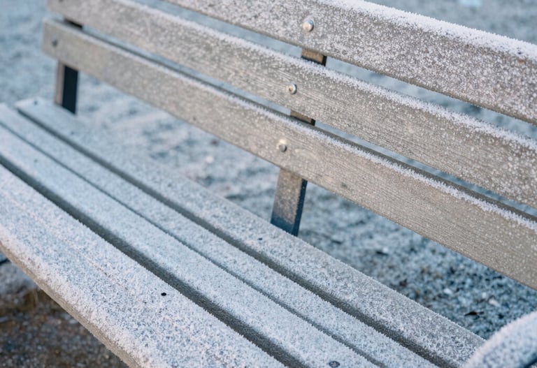 A detail shot of a park bench in a North American city, covered in a light layer of morning frost. Soft blue-grey and off-white tones. Minimalist, quiet, and contemporary.