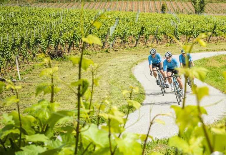 Attività Sportive tra i vigneti