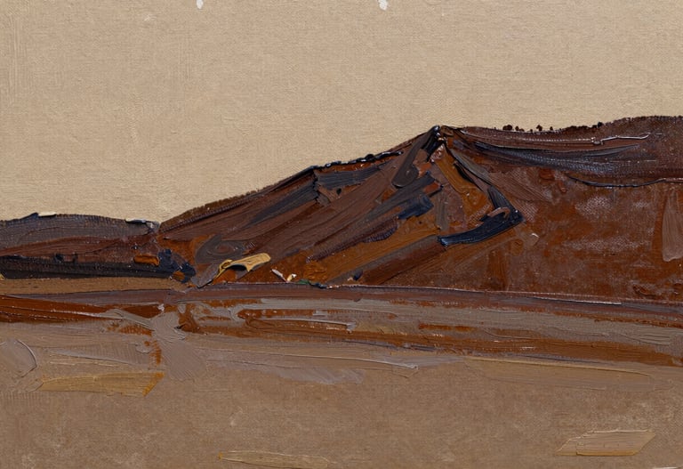 A photo showing the texture of a high-quality artist's canvas and the detail of oil paint layers in beige and dark brown colors.