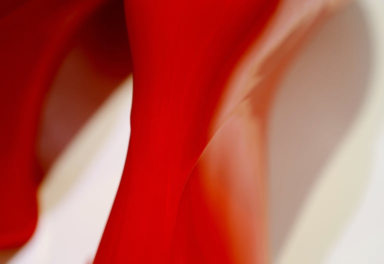 The Red Rainboots In White 