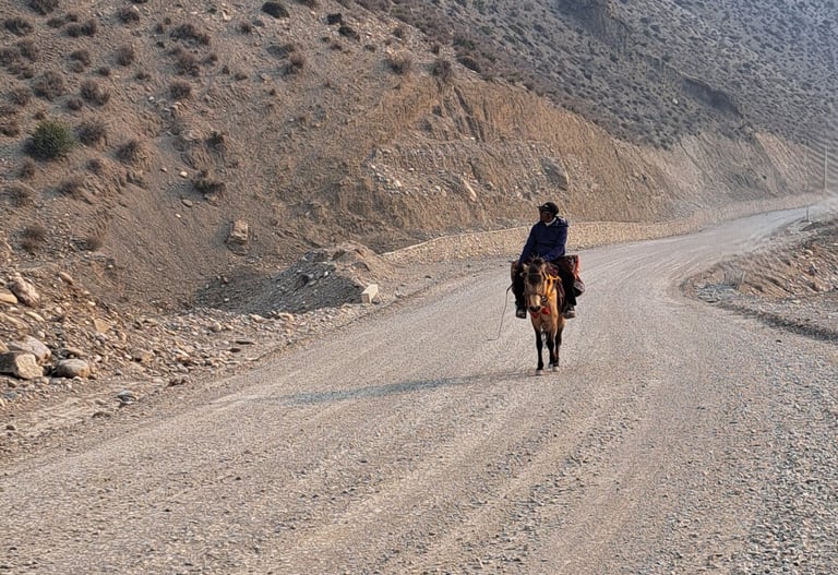 rider in Dolpo Park