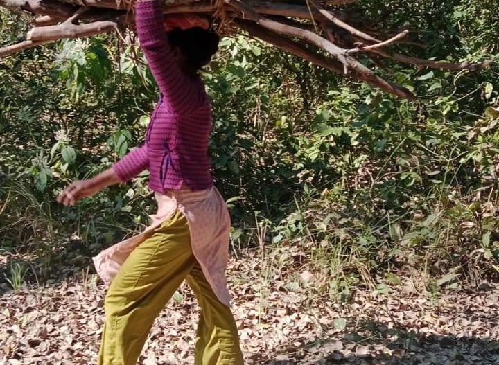 woman collecting wood in Thakurdwara