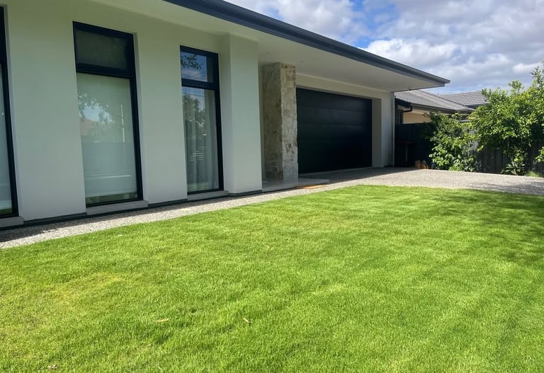 lawn grass suppliers Hyderabad 