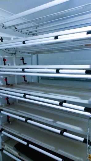 Our crops are grown on hygienic shelves
