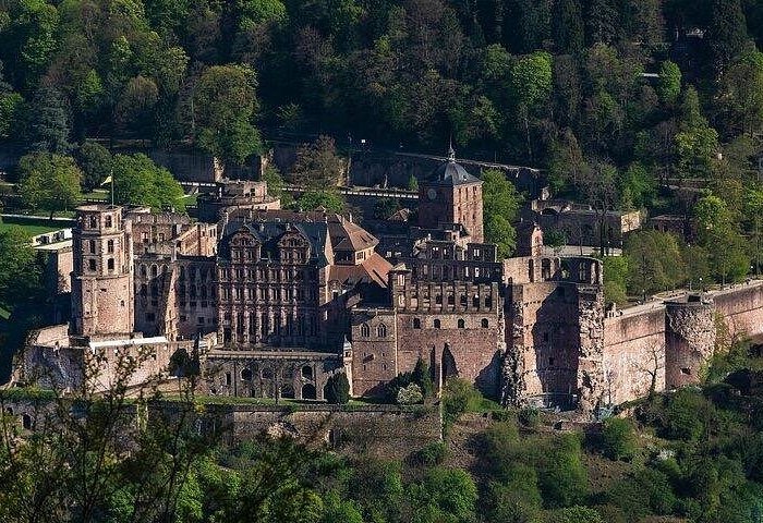 Panoramic view of the historic Heidelberg Castle ruins nestled in a lush green German hillside forest.