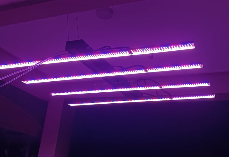 Customizable Spectrum Light