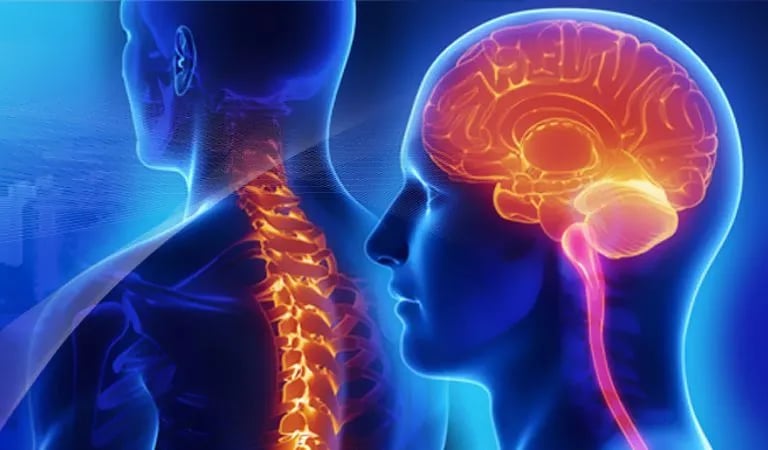 Fisioterapia neurológica y recuperación motora