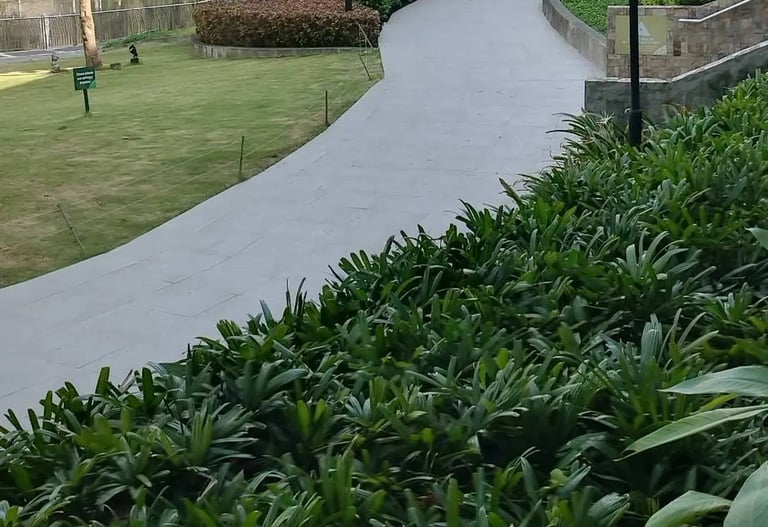 concrete street walkway