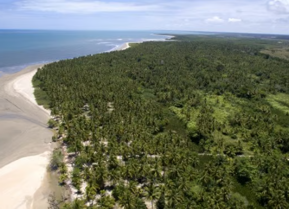 transfer para santo andre ba