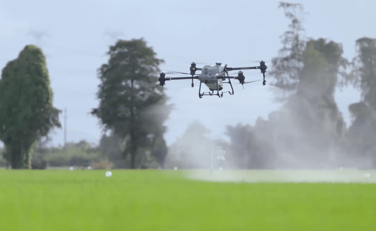 drone flying and spraying herbicide
