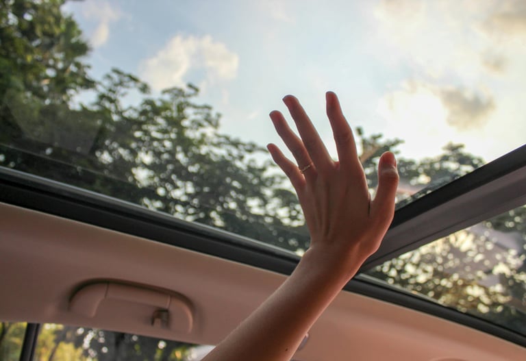 sunroof glass repair replacement Palm Bay FL mobile service