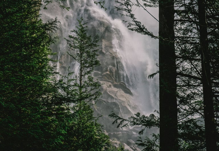 Naturlig natur: et fossefall i skogen.