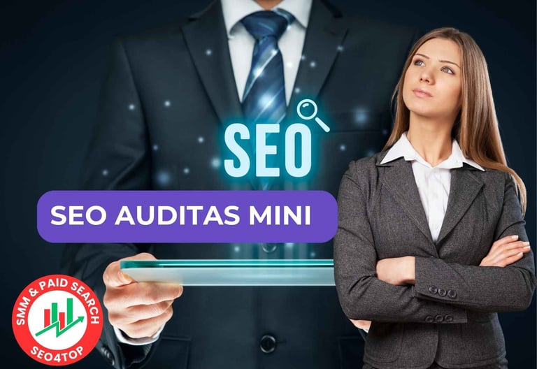 SEO auditas MINI