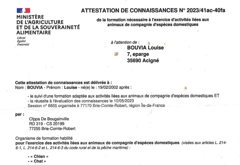Attestation de connaissances des animaux de compagnie et d'espèces domestiques