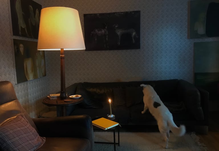 Private salon Lina Mikuzyte Klaipeda