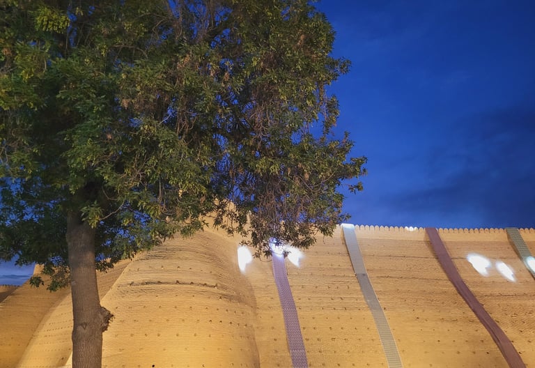 Citadelle Ark Boukhara