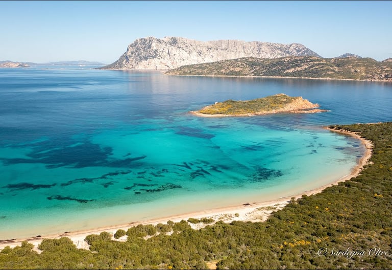 Cosa Cavallo Punta Esta - SardiniaGateway.it-