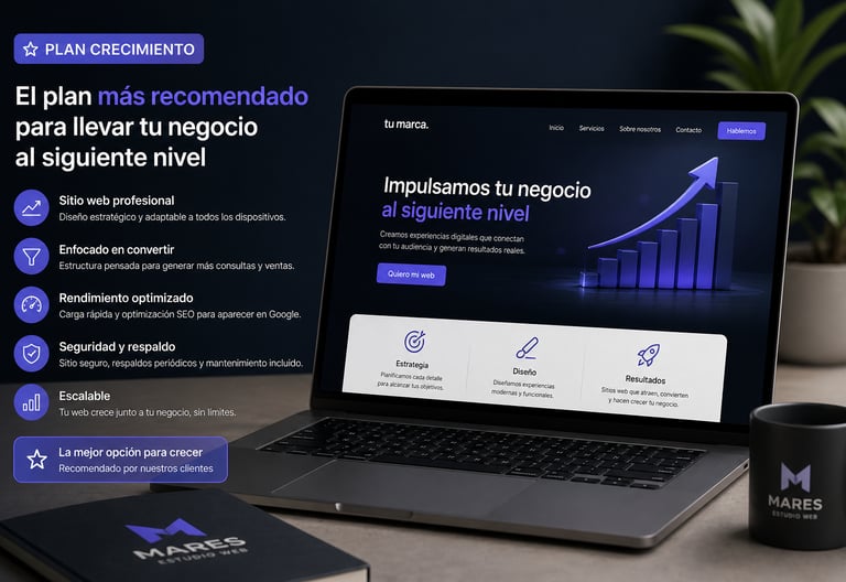 Diseño Web Profesional