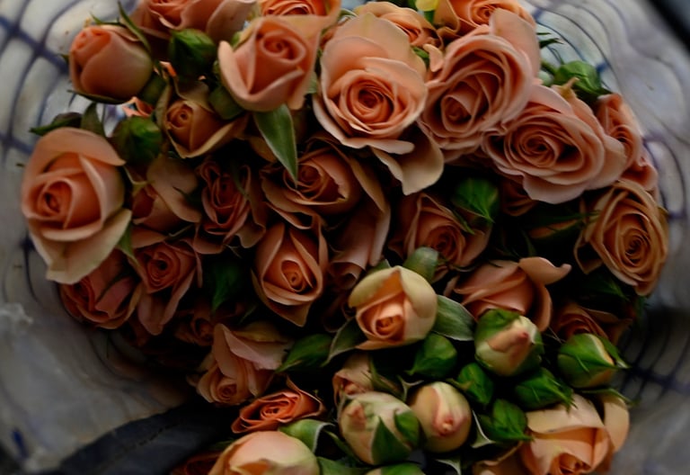 A fresh bouquet of peach-colored spray roses and green flower buds in a floral mesh wrap.