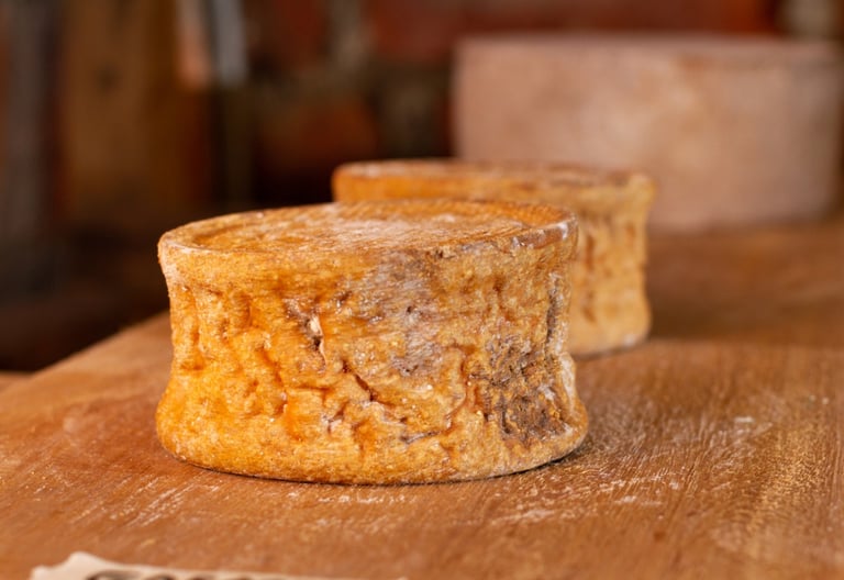 Rustic rounds of aged artisanal cheese with a natural orange rind resting on a wooden cellar shelf.