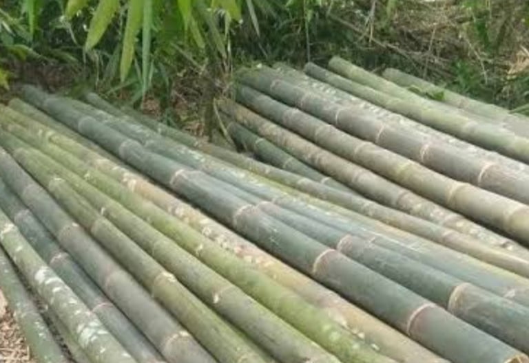 balok kayu bambu