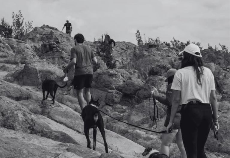 Grupo de excursionistas activos con sus perros ascendiendo por un sendero rocoso y empinado 