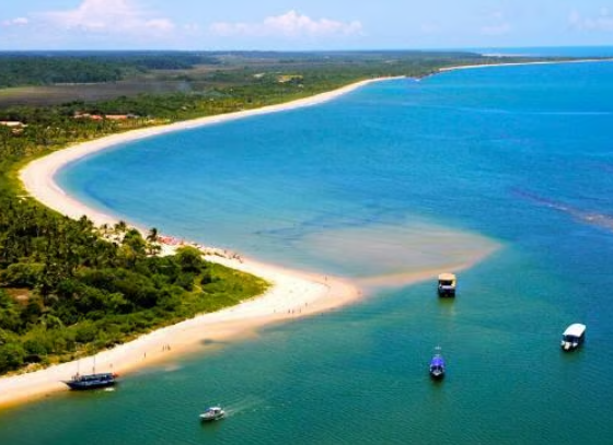 transfer para santo andre ba