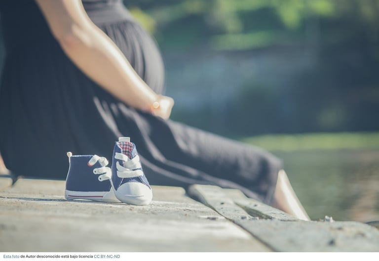 mujer inmigrante esperando bebe