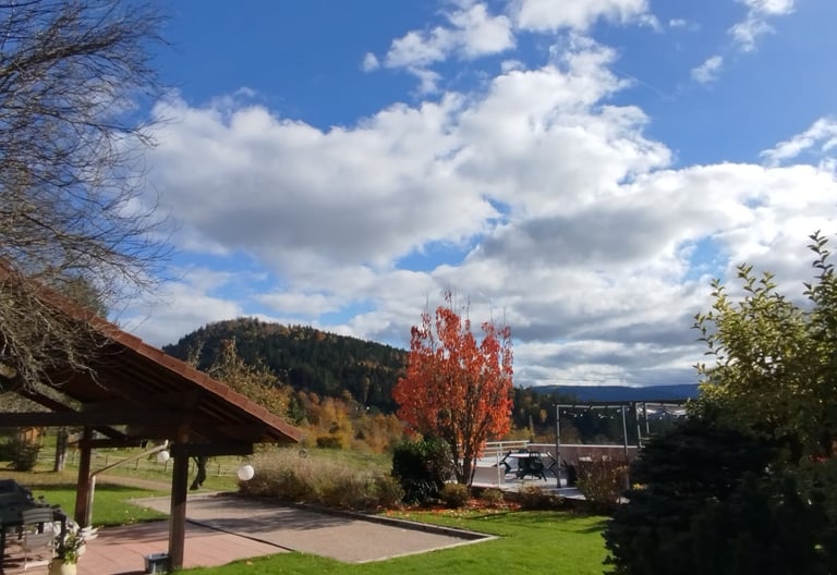 Jardin avec terrain de pétanque et coin repas sous le auvent