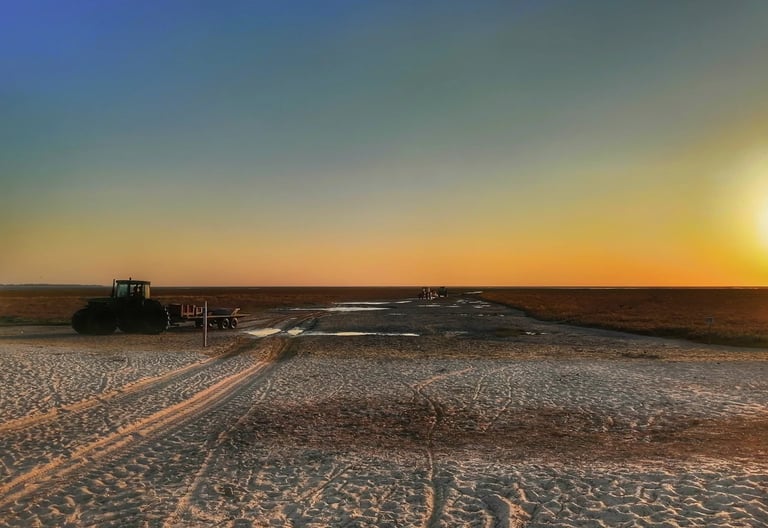une des pépites à proximité du Parc du Marquenterre dans la Somme