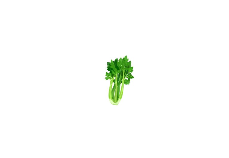 a piece of rhubarb