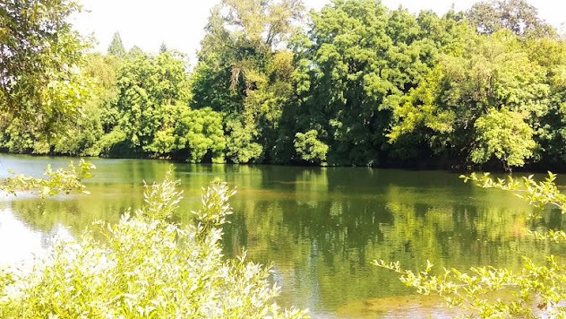 Roseburg - Stewart Park runs along the Umpqua River for added water sports