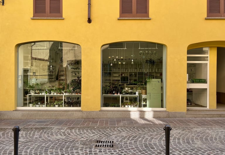 foto negozio il verde dentro