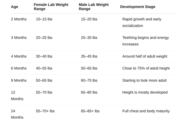 age and weight chart for labs