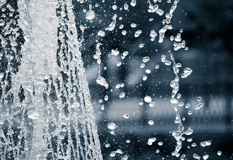 Water Conservation Issues