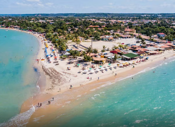 transfer para coroa vermelha