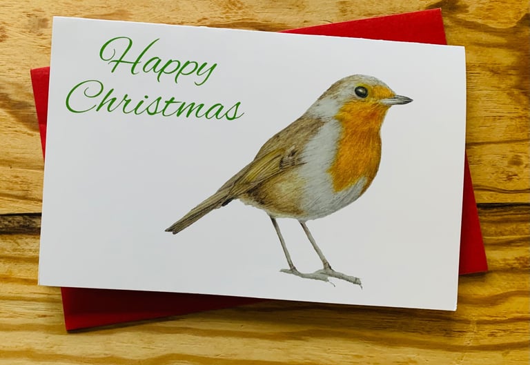 Christmas robin