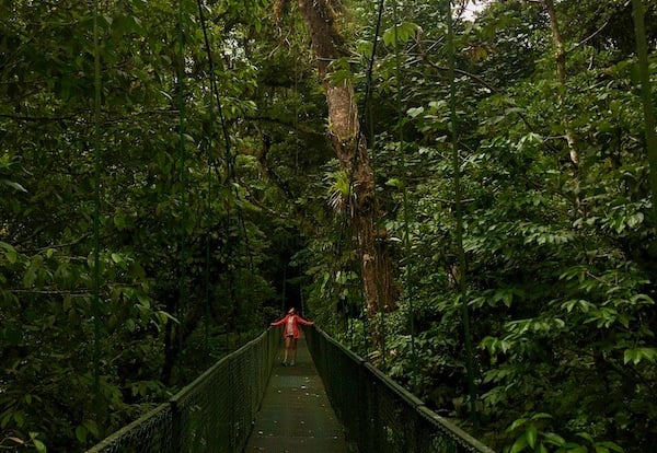 Hängebrücken Selvatura Park Monteverde Costa Rica
