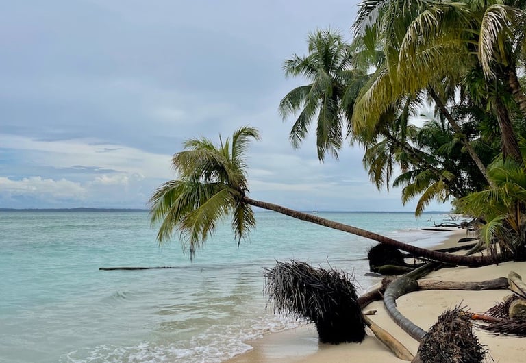 Panama Cayo Zapatilla Karaibik Bocas del Toro