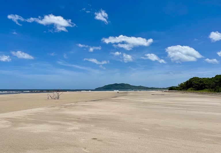 Playa Grande Tamarindo Costa Rica Guanacaste