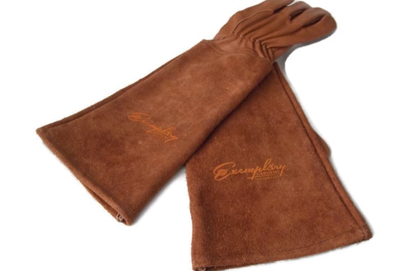Exemplary Gardens Rose Pruning Gloves (Goatskin Leather)