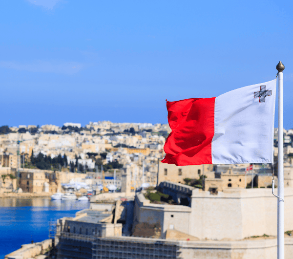 study in malta