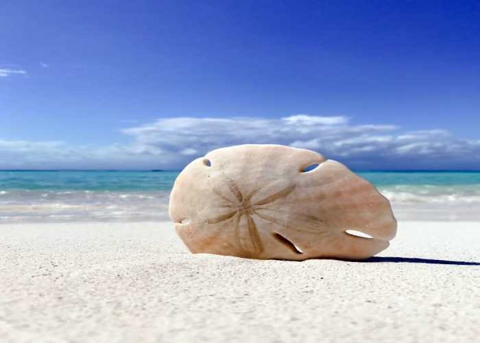 best-beaches-on-anna-maria-island