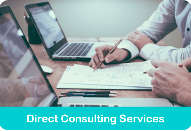 Direct Consulting Services