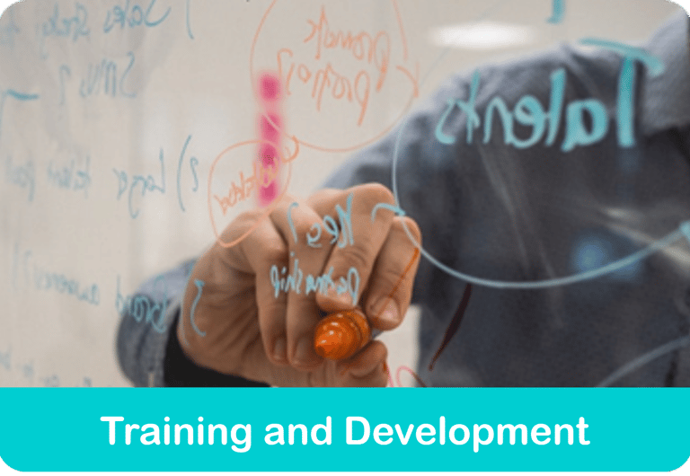 Training and Development