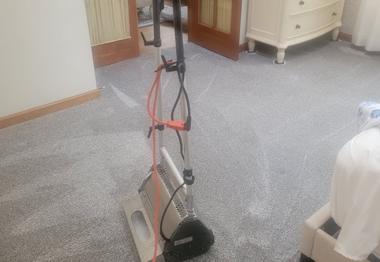 Before & After Photo: Eco Green Carpet Cleaning, in Action with King Organic Clean.  