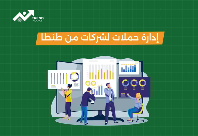 إدارة حملات لشركات من طنطا