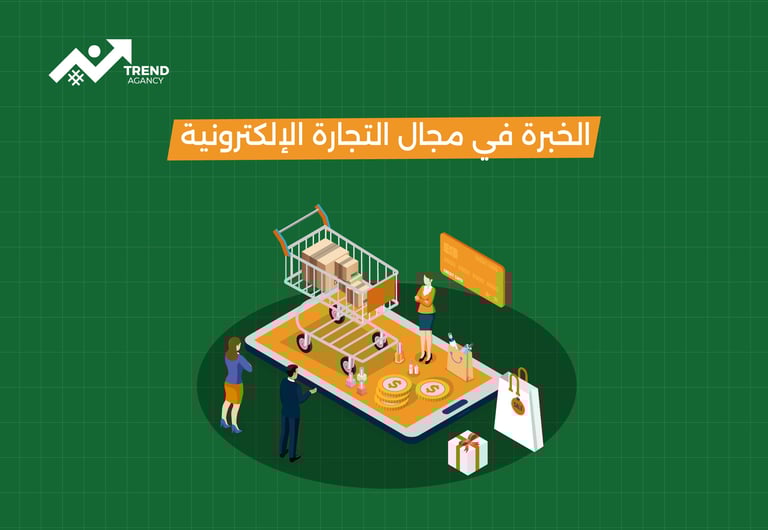 الخبرة في مجال التجارة الإلكترونية