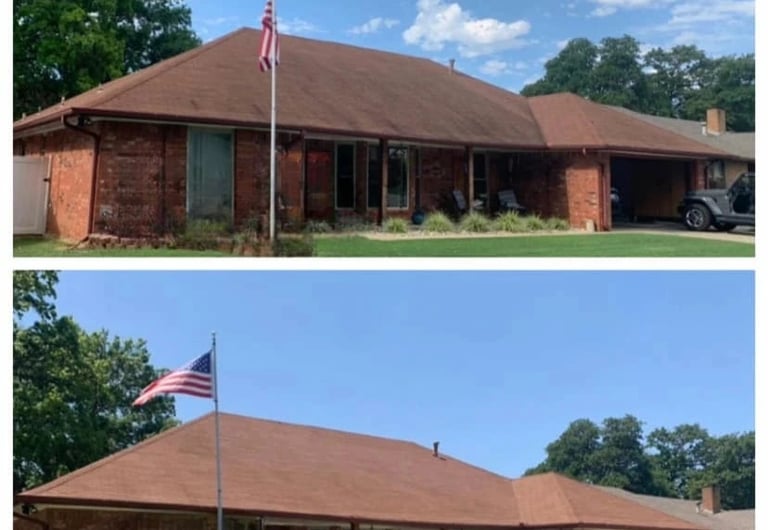 Asphalt shingle roof cleaning and black streak removal in Suncoast Lakes Land O' Lakes